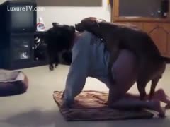 A puppy is given to a hot, booty brunette with hair.